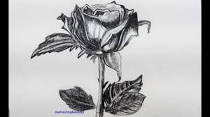 How To Draw Realistic Rose With Pencil Rose Drawing Tutorial Step By Step Pencil Sketch Youtube Hillberry shows step it is geared to artists who have some basic drawing skills that want to take their drawings to a higher level of realism, but even beginners will find it helpful. how to draw realistic rose with pencil rose drawing tutorial step by step pencil sketch