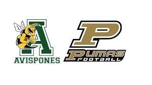 Liga de futbol americano fútbol americano pumas unam campeones equipo deportes fútbol. Peticion Alcalde San Pedro Garza Garcia Mantener A Club Avispones Y Pumas En Su Ubicacion Actual Change Org