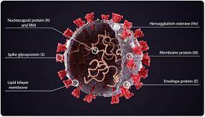 3d medical animation coronavirus (ur).png 1,920 × 1,080; Neutralizing Sars Cov 2 Via S Protein