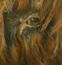 Bulls Eye Scottish Highland Bull Oil On Canvas Paper Scottish Highland Cows Cattle Or Hairy Coos Pinterest