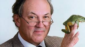 Dschungelcamp Tag 12: Tim und Kim fabulieren über Sex mit Dieter Bohlen