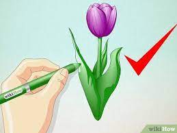 We did not find results for: How To Draw A Tulip 10 Steps With Pictures Wikihow