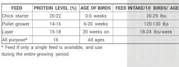 Download I Want To Start A Poultry Farm For Eggs What Is An Estimate For The Total Amount Of Feed Weight I Will Need Before The Day Old Chicks Start To Lay