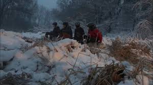 Cool time lapse from my backyard. Blizzard Backyard Rail Session Youtube