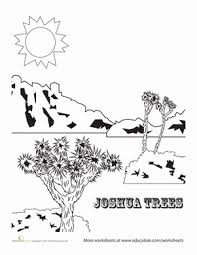Joshua Tree Worksheet Education Com Joshua Tree Tree Coloring Page Joshua Tree National Park