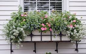 Window Box Ideas Window Planter Boxes Window Box Flowers Flower Boxes