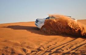 We did not find results for: Best Desert Safari Dubai Cost Per Person 125 Aed