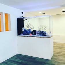 14 Awesome Aquarium Partition Ideas Homestay In 2020 Wall Aquarium Aquarium Home Aquarium