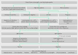 Infectious Mononucleosis | The Bmj
