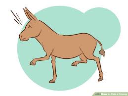 How To Ride A Donkey 11 Steps With Pictures Wikihow