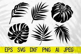Select from premium palm leaf silhouette images of the highest quality. Tropical Leaves Svg Palm Leaf Monstera Leaf Silhouettes 1375522 Cut Files Design Bundles