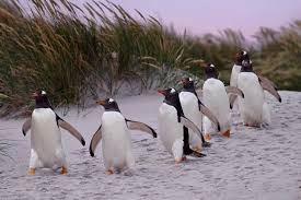 Ray & Sue (@travelandwildlifephotography) • Instagram photos and videos