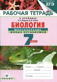 математика 2 класс бененсон итина рабочая тетрадь 2 ответы Reshinik Matematika 1 Klass Chast 2 Rabochaya Tetrad E P Benenson L S Itina Otvety Photoshop Tutorial How To Plan Algebra