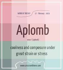 Aplomb Words Uncommon Words Weird Words