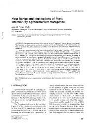 Image result for Cyphostemma gigantophyllum