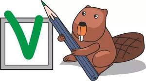 Check spelling or type a new query. Bilge Kunduz