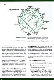 Sulphur Deficiency Please Help Page 3 Cannabis