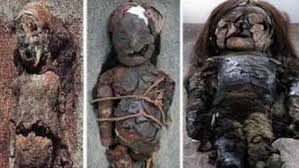 Les compartimos el documental elaborado por glaciar digital denominado tráfico ilícito: Comite De La Unesco Discutira Candidatura De La Momias Chinchorro A Patrimonio De La Humanidad Cooperativa Cl