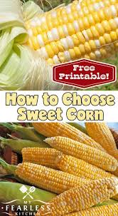 How To Choose Sweet Corn From My Fearless Kitchen Do You Know How To Choose The Perfect Ear Of Sweet Corn Every Time Check Sweet Corn Sweet Corn Recipes Corn