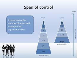 Organizational Structure And Culture