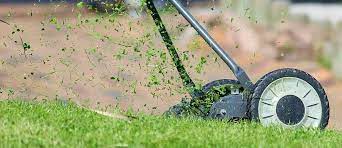 Spring or fall lawn service costs between $100 and $250. Is Lawn Care Service Worth The Money Cacti Landscapes