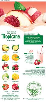 Tropicana Litchi Delight Fruit Juice 1000ml Amazon In Grocery Gourmet Foods