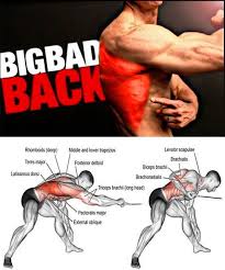 If You Re Looking For An Easy Piece Of Gym Equipment To Use Cable Machines Are A Great Place To S Workout Routine For Men Workout Routine Best Workout Routine