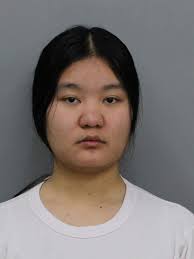 Wendy's vanilla Frosty is back