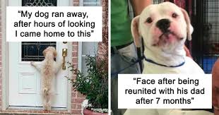 12 wiccan prayer for a passing pet. 50 Pics Showing Missing Dogs Returning To Their Homes That Might Get You Teary Eyed Bored Panda