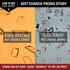 Pin On Chanca Piedra Efficacy Study Romania 2019