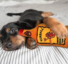21 Dog Products From Amazon That Basically Have No Right Being So Adorable In 2020 Dogs Cute Dogs Adorable