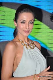 Image result for hot bollywood