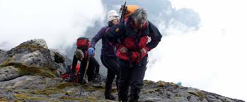 About 92% of its diet consists of fruit and 6.3% of leaves. Mountain Rwenzori National Park In Uganda Oasis Uganda Safaris