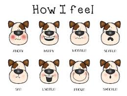 puppy feelings chart