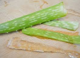 Fabriquer Son Gel D Aloe Vera Maison La Fille Du Quatrieme Gel Aloe Aloes Aloe Vera