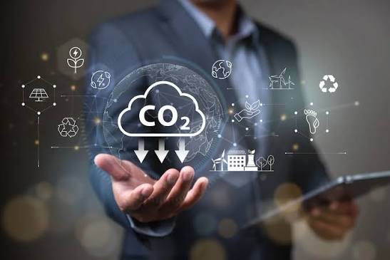 How Businesses Can Measure & Reduce Carbon Emissions
