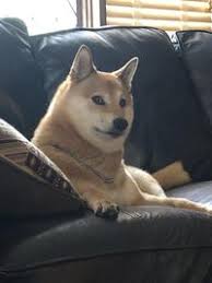 Civil war and its memes also became prominent, usually inserting captions of godzilla and kong saying disagreeing. Ironic Doge Memes Template Images Gallery Know Your Meme