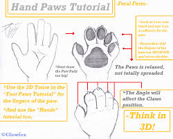 Fiverr freelancer will provide illustration services and draw you a furry fursona character reference sheet including figures within 14 days. Feral Hand Paws Tutorial By The Furry Art Academy Fur Affinity Dot Net