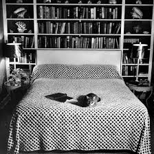 Pet Cat Sitting On Bed Of Author Dorothy Parker Photographic Print Em 2020 Casas Fotos Gatos
