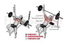 Incline bench press muscles worked. How To Do Incline Reverse Grip Barbell Bench Press Chest Fitness Volt