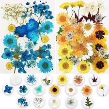 This easy diy project is inexpensive, fast, and simple. Amazon Com Real Dried Flowers For Resin Natural Dried Flower Herbs Kit For Jewelry And Candles Making Art Nail Make Up Making Colorful Decors Greeting Card Gypsophila Daisy 72pcs