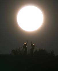 Full moon over the ocean by susanne van hulst. Full Moon Romance Community Facebook