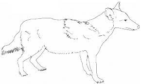 Coyote coloring pages is free hd wallpaper. Free Printable Coyote Coloring Pages For Kids