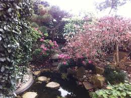 Early japanese gardens literally sprouted out of the zen lifestyle. Private Japanese Garden Room 304 Picture Of The Como Melbourne Mgallery By Sofitel South Yarra Tripadvisor