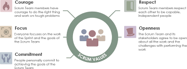 Values are about what you consider important to the life you want to live. What Are The 5 Scrum Values