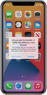 I've had one failed attempt as i forgot to back up and unpair my watch but the screen recognised the circle of dots and started the transfer. Transfer A Sim From Your Previous Iphone To Esim On Your New Iphone Apple Support