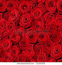 how to make an interesting art piece using tree branches ehow red roses wallpaper red roses background rose wallpaper