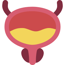 Bexiga - ícones de médico grátis