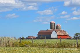 I am preparing a field guide to american agricultural buildings to be published by timber press in portland, or and i am looking for photographs of barns and other outbuildings from throughout the country. Barns And Silos Photograph By Chris Bartley