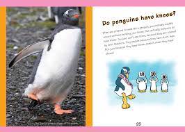 A penguin's skeletal structure is laid out in the same general pattern as other birds. Do Penguins Have Knees Pineapple Press Inc